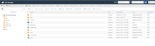 cpanel hosting guide public_html